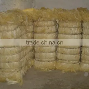 High Quality Grade A Raw Sisal Fibre thumbnail-1