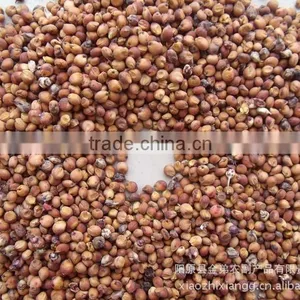 Red Sorghum Market Price With New Crop thumbnail-5