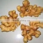 Farm Fresh Fat Ginger(SHANDONG) thumbnail-1