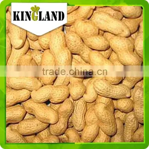 Manufacturer Peanut in Shell thumbnail-3