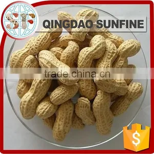 Crispy Organic Roasted Peanuts in Shell thumbnail-4