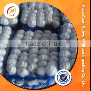 Fresh Garlic With Small Packing thumbnail-4