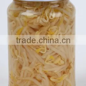 Good Quality Canned Soy Bean Sprouts thumbnail-1