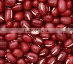 High Quality Vietnam Red Bean for Sale thumbnail-1
