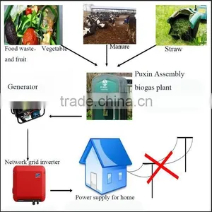 No Smell Mini Size Portable Food Waste Biogas System thumbnail-2