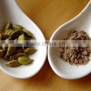Cardamom Extract Powder 5:1 10:1 thumbnail-1