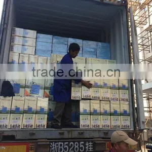 TOP Quality Plastic Disinfection Sprayer thumbnail-6
