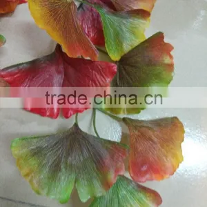 SJ070916 Colorful Folium Ginkgo Leaf thumbnail-2