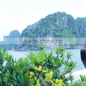 Ha Long Bay 2D1N on Boat thumbnail-5