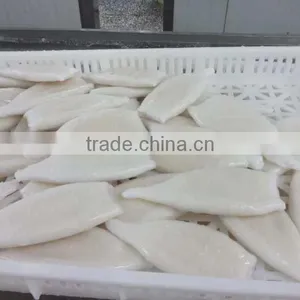 2016 Best Quality New Arrival Squid Tubes for Sale thumbnail-2