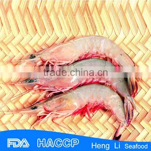 HL002 Wild Flash Seafood Frozen Red Shrimp thumbnail-4