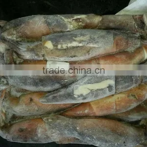 China Exporter Frozen Argentina Squid Illex Argentinus thumbnail-3