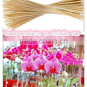 Bamboo Sticks for Sale thumbnail-1