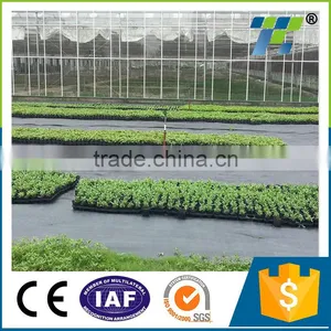 Best Selling Product PE Ground Cover Net Agricultural Use,weed Control Net thumbnail-1