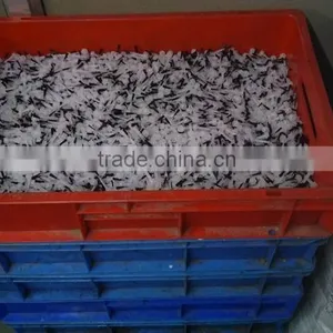 High Quality Brushes for Nail Polish, Brush Manufacturer India thumbnail-6