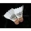 Shuttlecock Kicking|shuttlecock Uk|shuttlecock Brand|shuttlecock Singapore|shuttlecock Factory|shuttlecock Icon|shuttlecock Price Malaysia|shuttlecock Yonex|shuttlecock Foot|shuttlecock Speed thumbnail-1