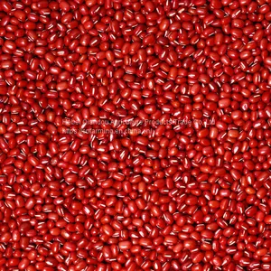 Beans thumbnail-4