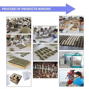Shijiazhuang Dishi Cosmetic Co Ltd company overview - view 1 thumbnail