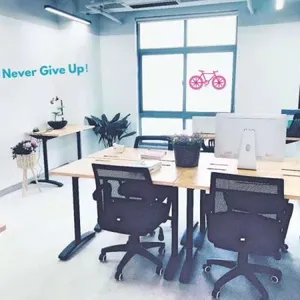 Shanghai Brellet Telecommunication Technology Co., Ltd. company overview - view 2 thumbnail