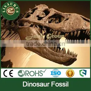 JLDF-0521 T Rex Dinosaur Fossile Skull Replica thumbnail-1