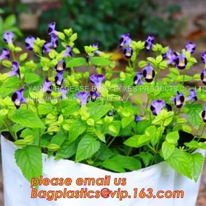 Greenhouse Horticulture Garden Bags Nursery Bags Plants Grow Bags Biodegradable Fabric Pots/Bag Plants Pouch Home Garden thumbnail-5