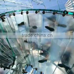 Anti-slip Glass/Anti-skid Glass thumbnail-2