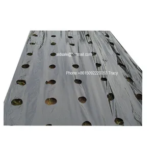 Mulch Film Hole Punching Machine thumbnail-5