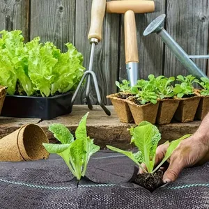 Premium Quality Weed Barrier Fabric for Agriculture and Landscaping Projects thumbnail-1