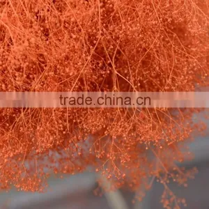 2016 Cheap Artificia Natural Dry Flower thumbnail-3