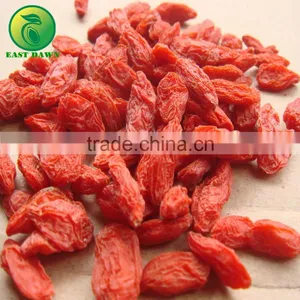 Food Distributors for Wholesale Organic Food, Goji Berry thumbnail-1