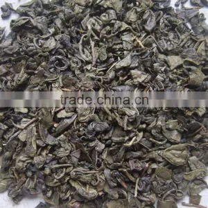 Export Tea From Professional Factory in China Gunpowder Green Tea 9175 thumbnail-3