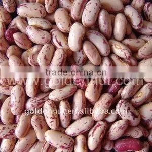Kidney Beans thumbnail-1
