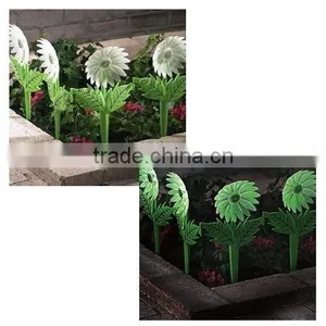 Luminous Sunflower thumbnail-1