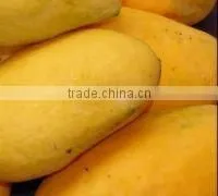 Chaunsa Mango From Pakistan thumbnail-1