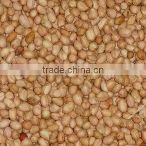 GROUND NUT KERNEL thumbnail-1