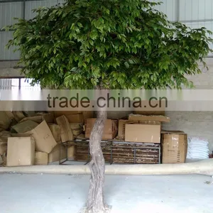 Fiberglass Material Greenery Tree Artificial Carambola Tree With Best Price thumbnail-1
