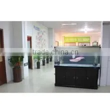 Shenzhen WenChuangFu Plastic Electronic Co., Ltd. company overview - view 1 thumbnail