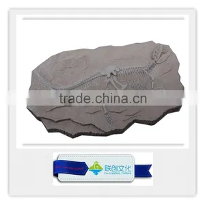 Popular Bone Fossil Replica of Dinosaur Bones thumbnail-6