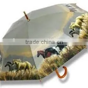 23 Inch Automatic Craft Horse Wooden Shaft Umbrella thumbnail-4