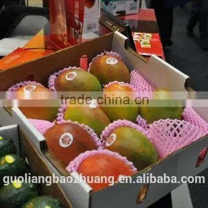 Factory Directly Food Grade Polythene Expanded Foam Vegetable Packaging Net thumbnail-5
