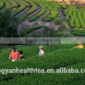 New Product Chinese Aged Oolong Tea For Sale thumbnail-6