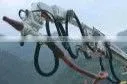 Mining Shotcrete Pump Parts thumbnail-1