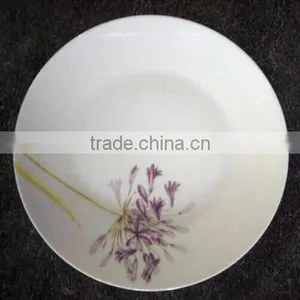Porcelain Ceramic Dishes&Plates Bulk White Ceramic Dinner Plates thumbnail-4