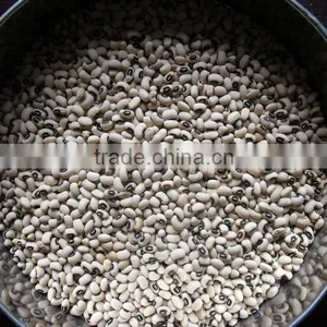 HPS White Cowpeas thumbnail-1