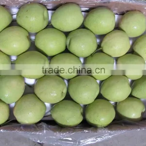 Shandong Pear thumbnail-4