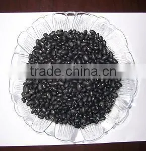 Small Black Bean Chinese Origin thumbnail-2