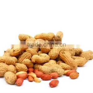 Roasted Penaut in Shell in China (50g to 250kgs) thumbnail-1