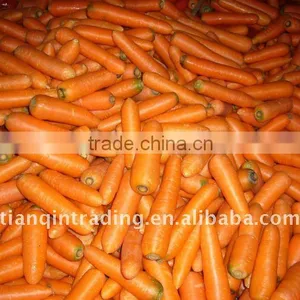 2011 Chinese Carrot thumbnail-1