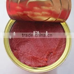 Wholesale Double Concentrated Canned Tin Gino 28-30% Tomato Paste Pasta Factory Supplier Exporter thumbnail-4