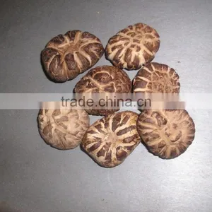 DRIED ORGANIC EDIBLE SHIITAKE MUSHROOM thumbnail-1
